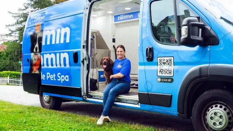Grooming van