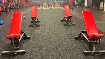 Ready-to-Operate Gym & Fitness Studio – Equipment & Assets Include