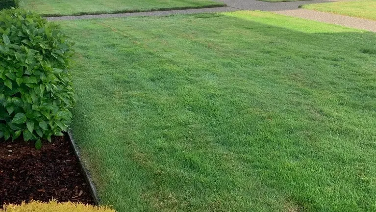 Commercial Maintenance Commercial Maintenance