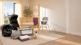 Established Baby Equipment Rental Business
