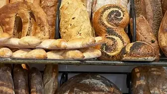 Overnight bread route for sale serving NYC and surrounding boroughs