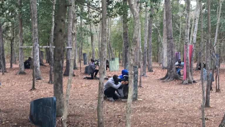 Dark Forest Arena