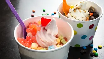 Established Frozen Yogurt, Smoothie & Juice Franchise DuPage County