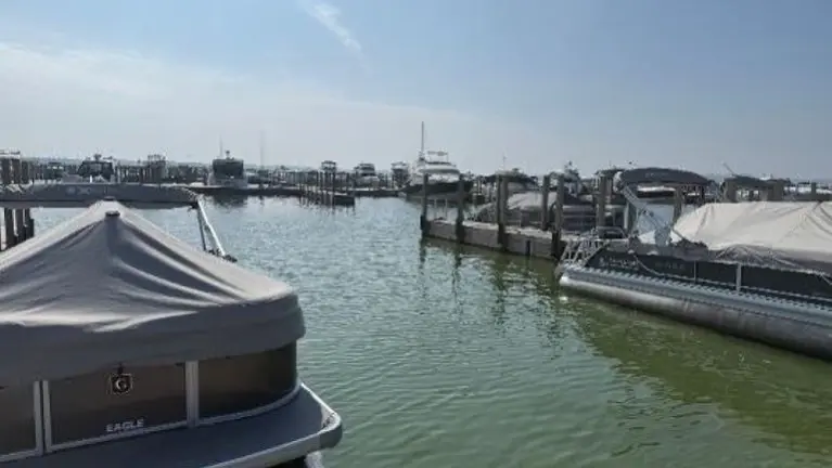 Nice Day for a Boat Ride Nice Day for a Boat Ride