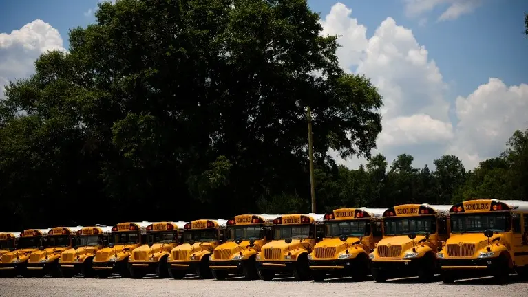 Spraying New Buses