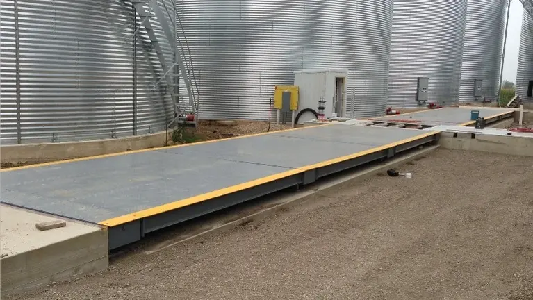 Spraying a Scale Spraying a Scale