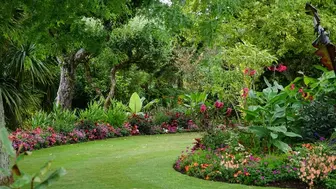 Customized Landscape Care