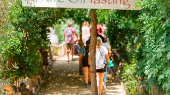 Charming Olive Oil, Wine Tasting Ranch near Temecula - Price Reduced!