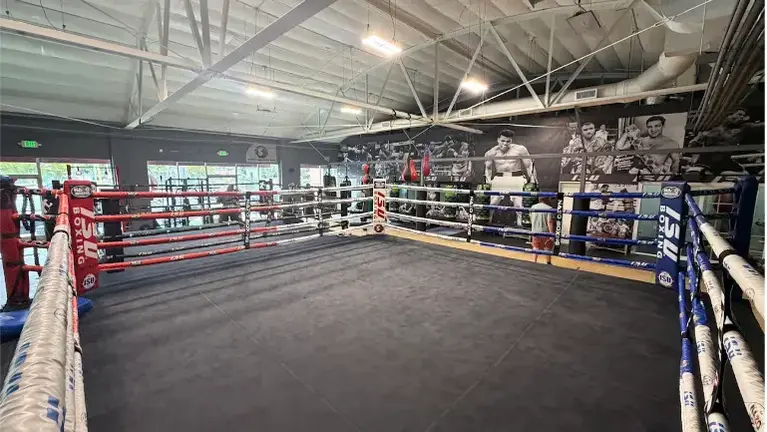 Boxing Ring Boxing Ring