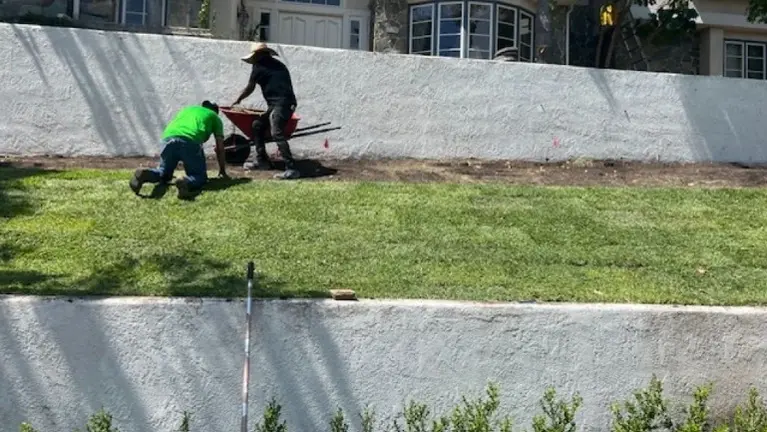 Field crew handling high-grade turf installation and slope irrigation management.