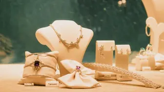Well-Established Jewelry Store in Houston