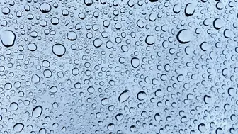 Established Window Cleaning Company for Sale in NY