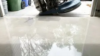 Profitable Concrete Polishing Company #3225