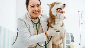 Spacious West Valley Veterinary Hospital