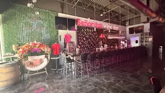 Upscale Wine Bar – Fully Equipped & Turnkey