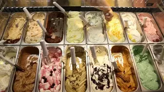 Orlando Ice Cream Franchise