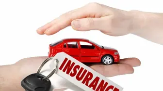 Established Insurance Franchise