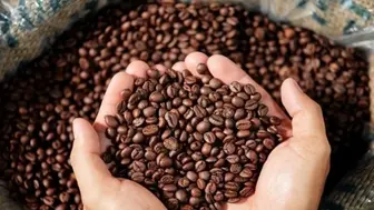 Established Coffee Manufacturing & Roasting Facility