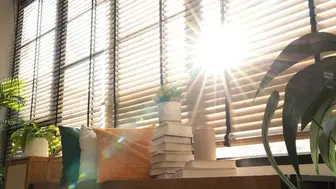 Award-Winning Window Treatment Company with Exceptional Margins