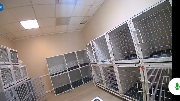 Kennel Room 