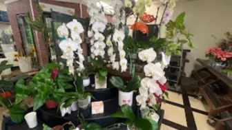 Beach City Flower Shop, Huntington Beach, 1200 sq ft. EZ to run.