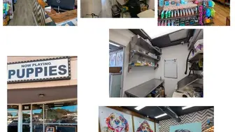 Pet store puppy shop dog supply tienda mascotas