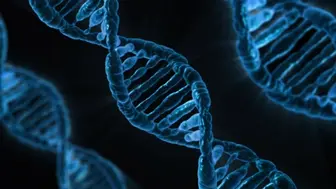 Established, turnkey DNA testing business