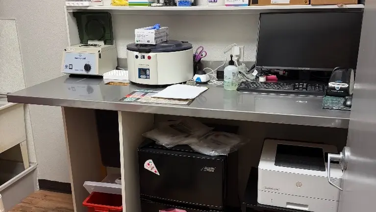 Lab