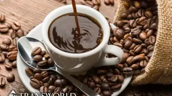 Popular Coffee Roaster & Coffee Shop in Prime Location