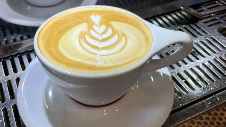 Specialty Coffee Shop Cafe Specialty Coffee Shop Cafe