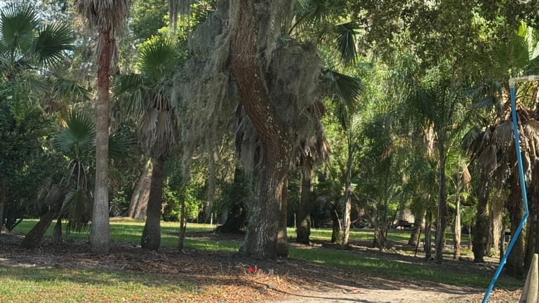 13 Acres +/-